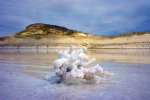 107125005e46428599ba376d02b34621.max-2500x1500