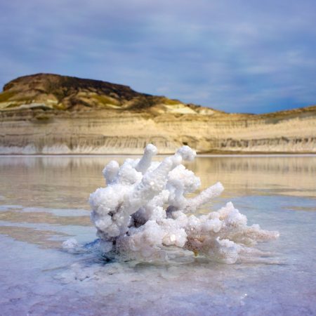 107125005e46428599ba376d02b34621.max-2500x1500