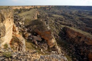 2a237794-bb43-4587-9446-3a41ad8650af