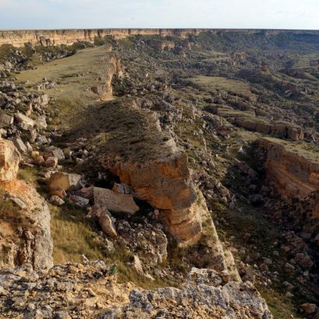 2a237794-bb43-4587-9446-3a41ad8650af