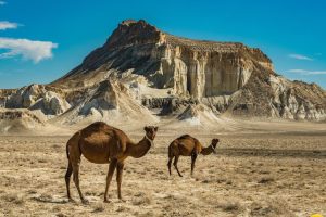 351f0a886db28dcabf949af19cb05e30a03e42c52f6567a823d85b60622c9a9d