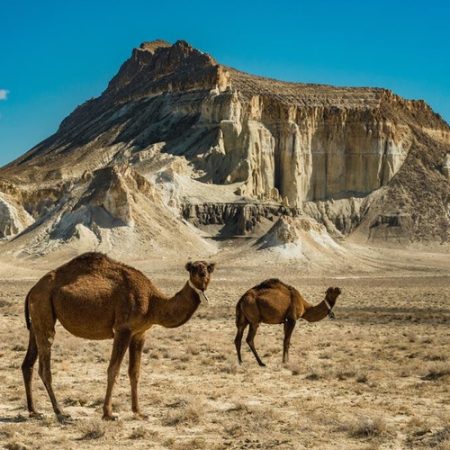 351f0a886db28dcabf949af19cb05e30a03e42c52f6567a823d85b60622c9a9d