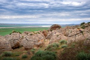 936cc014d85a2bd236b08e0d3fd433ed