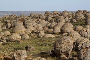 a29f6c50-d524-43cd-835f-09b23c69fcda