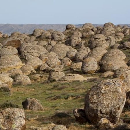 a29f6c50-d524-43cd-835f-09b23c69fcda