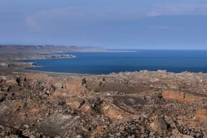 a7c63981-2102-4476-a017-68ae23bd7cee