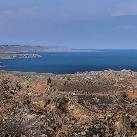 a7c63981-2102-4476-a017-68ae23bd7cee