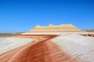 ad7c4698-01b9-4783-873b-7036a7810f1a