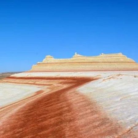 ad7c4698-01b9-4783-873b-7036a7810f1a