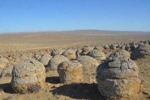 medium_193-0.-torysh-mangystau-region-50