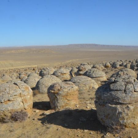 medium_193-0.-torysh-mangystau-region-50